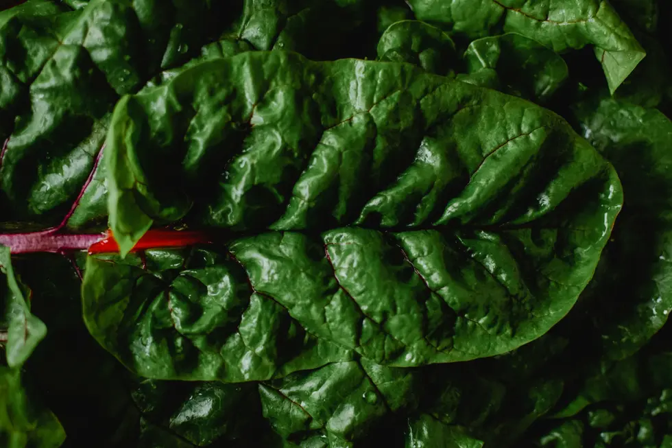 Proteína Vegetal: qué es, qué beneficios tiene y cómo funciona