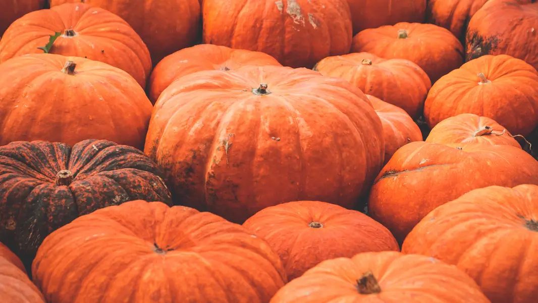 Extracto y semillas de calabaza: qué son y sus beneficios