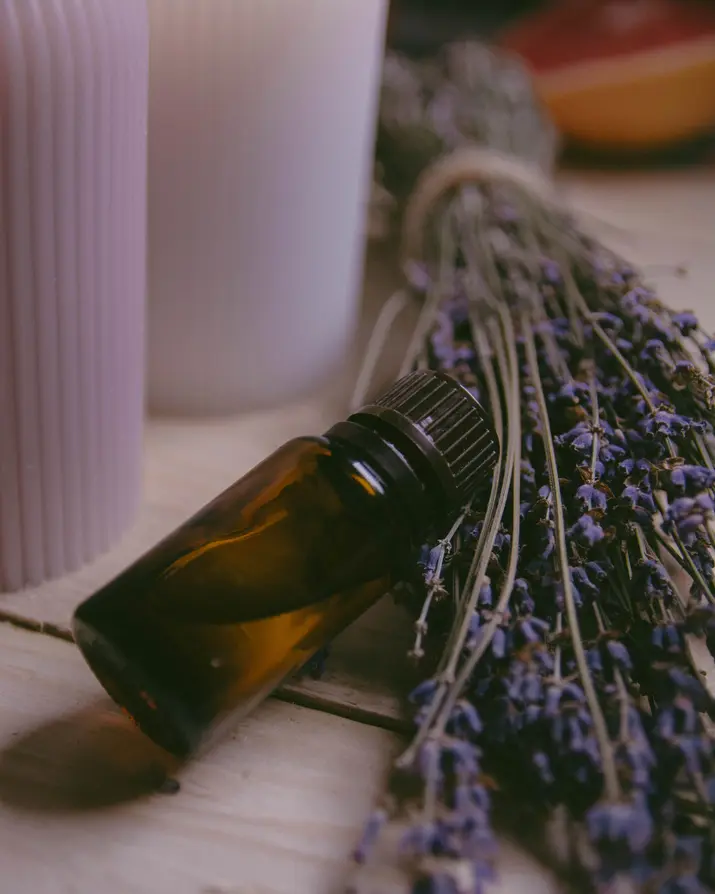 Aceite esencial de lavanda: qué es, beneficios y su bioquímica